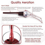 Vintorio Wine Aerator Pourer - Premium Aerating Pourer and Decanter Spout (Black)